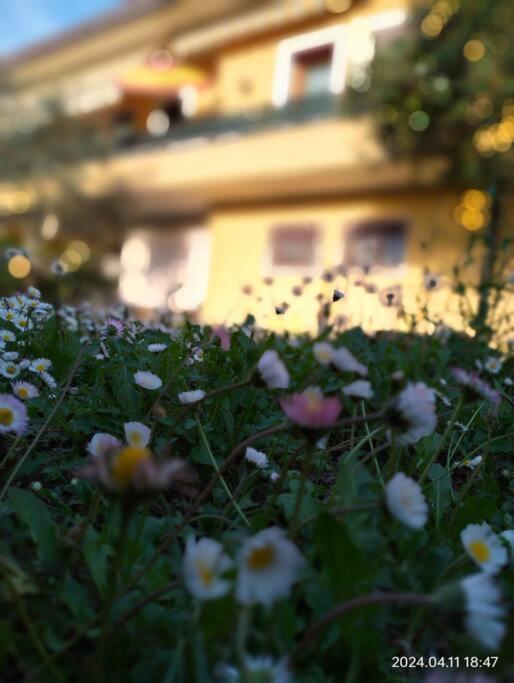 Casa Gialla Quartiere Tranquillo A Vicino Al Centro E Servizi * Padova